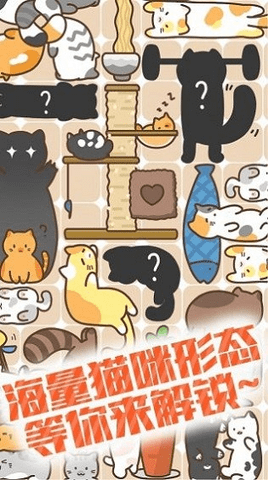 有猫饼官方免费版：具有挑战性的休闲益智游戏，免费畅玩！