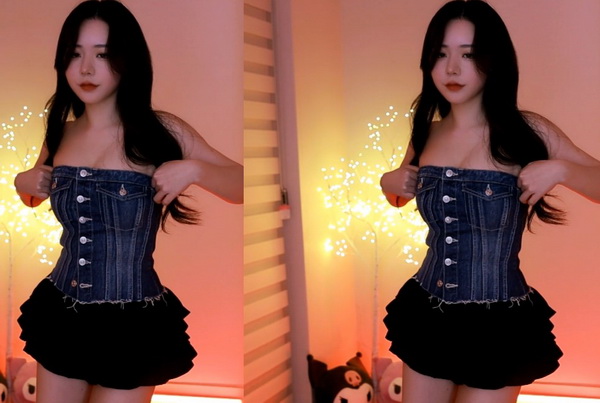 ZOOM与动物ZOOM最新版本