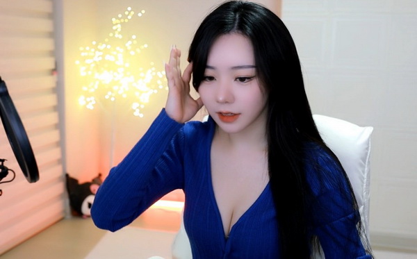 �����CRM��ɫ