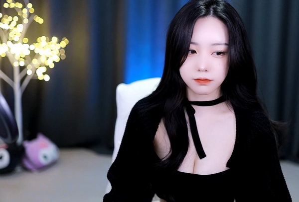 噼里啪啦免费高清看